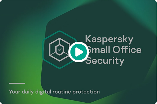 Kaspersky small office securitys special features to protect every aspect of your business